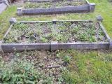 image of grave number 518113